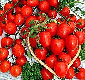 And not a berry at all, but a tomato! Advantages and disadvantages of tomato cherry "Strawberry" F1