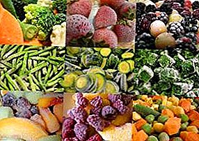 Idee für Ihr eigenes Geschäft: die Herstellung von tiefgefrorenem Gemüse und Obst