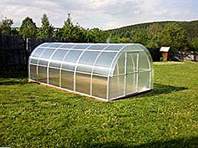 Instructions for creating a collapsible polycarbonate greenhouse or under the film with your own hands