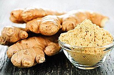 The use of ginger in the fight against parasites. Does the plant really help against worms?
