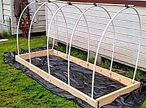 Qué construir un invernadero: elige el material del marco