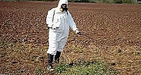 土壌中のジャガイモ線虫の扱い方：闘争の方法と手段