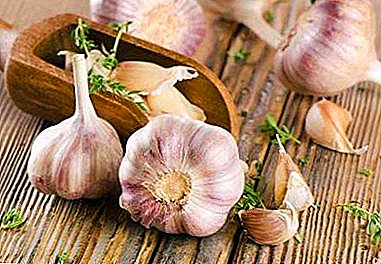 How to effectively lower blood pressure? Garlic-based recipes with milk or honey