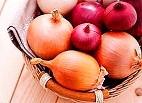 How to store onions until spring at home and in storage: terms, conditions and temperature