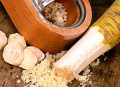 How horseradish is treated arthrosis and other, even neglected, diseases of the joints? When to go to the doctor necessarily?