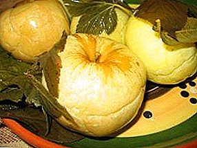 Hogyan lehet savanyúságot készíteni a télen töltött almákban, és mit lehet főzni velük?