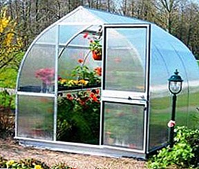 How to reliably strengthen the greenhouse polycarbonate