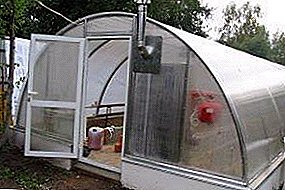 How to heat a greenhouse in winter: heating systems and heaters, projects, photos. Oven-stove with their own hands