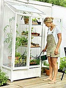How to equip a greenhouse for a balcony do it yourself