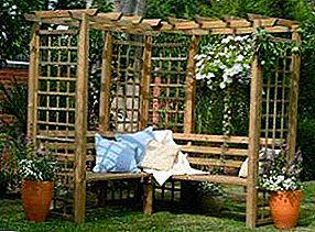 How to build a pergola in the country with their own hands?