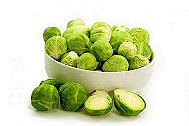 How to cook frozen Brussels sprouts: tips for hostesses and surprisingly tasty recipes