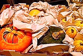 How to store whole and sliced ​​pumpkin at home: on the balcony or in the refrigerator?