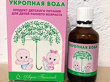 How to make and apply dill water for newborns?