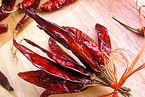 How to dry hot chili peppers for the winter at home?