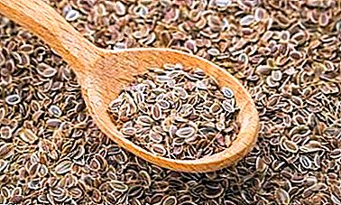 How to use and from what help the seeds of dill? Recipes of traditional medicine