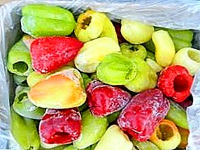 How to freeze fresh Bulgarian pepper for the winter: whole or in slices?