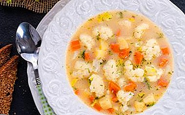 How to cook dietary vegetable soup from cauliflower? The classic recipe and its variations