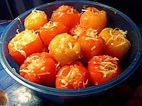 Wie man kocht und spart für den Winter fermentierte Paprikaschoten, gefüllt mit Kohl und Karotten?