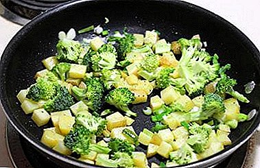 Comment faire cuire le chou-brocoli rapidement et savoureux? Recettes comment faire frire un légume dans une casserole, un ragoût et d'autres façons