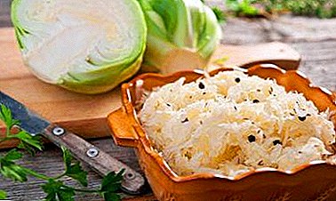 How to cook cabbage, pickled hot pickle with vinegar and garlic? Dish options and quick recipe