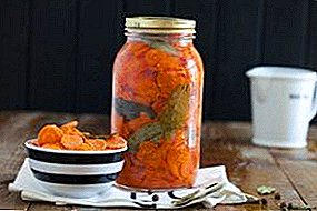 Wie man eingelegte Karotten zubereitet und wie ist das sinnvoll?