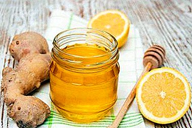 Hogyan készítsünk gyömbért citrommal és mézzel, és hogyan hasznos ez a keverék? A legjobb házi készítésű receptek
