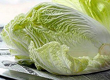 Làm thế nào để đa dạng hóa món salad bắp cải Trung Quốc và dưa chuột muối? Từng bước công thức nấu ăn