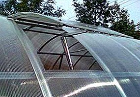 Hur man gör ett polykarbonatfönsterblad för ett växthus med egna händer? Samt andra alternativ för placering av ventilationsöppningarna