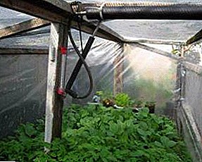 How to make a hydraulic cylinder for the greenhouse with your own hands? For those who appreciate offline operation