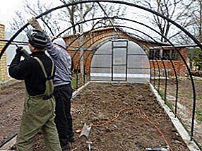 Hur man gör ett växthus med egna händer från rebar: krav på material och strukturer