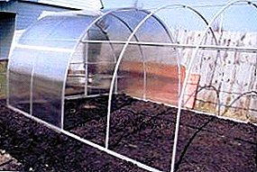 How to make your own greenhouse of plastic pipes and polycarbonate: a step by step instruction