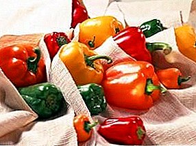 Hvordan beholde fersk bulgarsk pepper til vinteren i kjøleskap og kjeller?