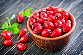 How to dry rose hips. Rules of drying and storage. Recipes