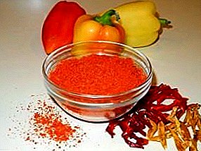 How to dry sweet pepper for the winter: in an electric dryer or oven?