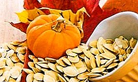 How to dry pumpkin seeds in the oven, microwave and electric drier?