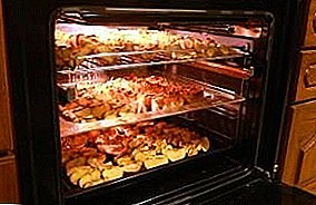 How to dry apples in an electric oven? Sushina recipes
