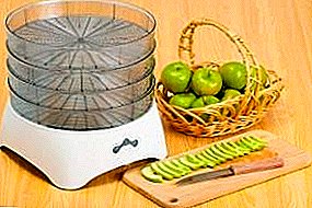 Cómo secar manzanas en un secador eléctrico de frutas: tiempo, temperatura, recetas