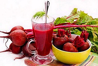 How does beet affect pressure - increases or decreases? Folk recipes and recommendations for use
