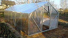 How to make a repair of polycarbonate greenhouses with your own hands? Step-by-step instruction