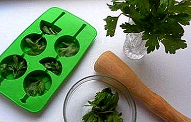 How to return skin to youth? Recipes for different parsley ice cubes and their use for the face
