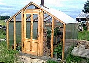 How to choose a method of heating and do the heating in the greenhouse?