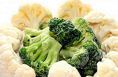 ¿Qué sabroso hacer un plato de coliflor congelada y brócoli? Recetas de cocina