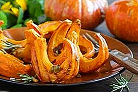 How to wilt pumpkin at home in the oven and electric dryer: fashionable recipes