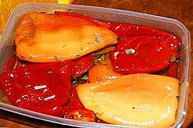 Wie man eingelegte Paprikaschoten mit Kohl und Karotten zubereitet?