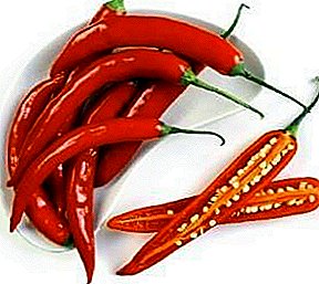 How to freeze fresh hot pepper for the winter in the freezer?