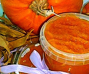 How to freeze the pumpkin for the winter at home is correct: slices or in the form of mashed potatoes?