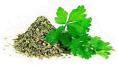How to stock up on dried parsley for the winter, and is there any benefit from it?