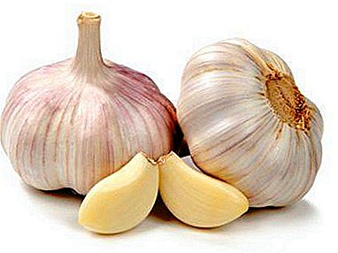 What are the dangers of Chinese garlic? Properties and description of the imported product