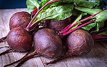 Which beet varieties for open ground are considered the best, and how to choose the right seeds?