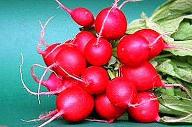 What is the glycemic index of radish? The benefits and harm, and how to use a vegetable with diabetes?